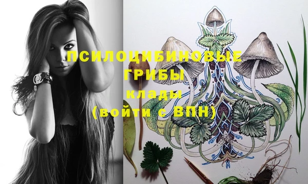 PSILOCYBIN Арсеньев