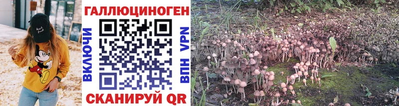 Галлюциногенные грибы Psilocybine cubensis  ОМГ ОМГ рабочий сайт  Бежецк 